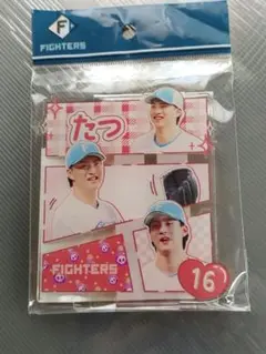 達孝太　アクスタ