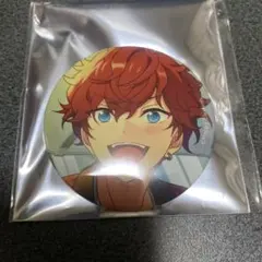 あんさんぶるスターズ コレクション缶バッジ 2025 Feb C 天城一彩