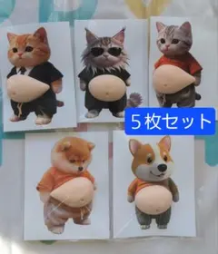 お腹ぷにぷにシール 猫 ねこ ネコ おなかぷくぷくシール 3Dシール 柴犬　いぬ