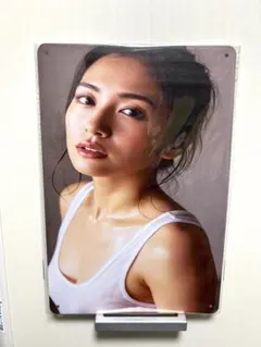 ブリキ看板　美女　セクシー下着　タンクトップ　汗　アイドル　タレント