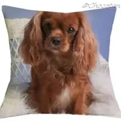 Item thumbnail for item 178274cc-41de-4f24-85fb-350326baf770