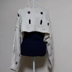 ems excite 穴あきセーター クロップド丈 長袖　Fサイズ 個性的