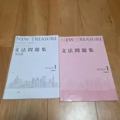 NEW TREASURE Third Edition Stage１ 文法問題集