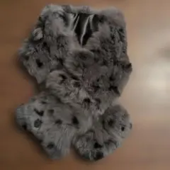 Item thumbnail for item 900838cb-adb3-478d-a915-fa4bcad984b0