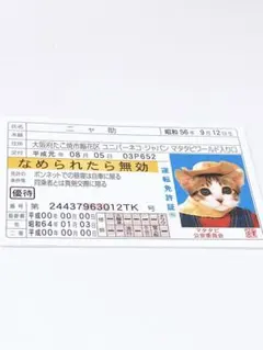 猫の身分証明書とポストカード　なめんなよ　ゴールド　(金) 2025年最新】なめ猫 免許証 ゴールドの人気アイテム - メルカリ