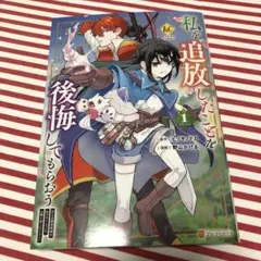 私を追放したことを後悔してもらおう/野山かける