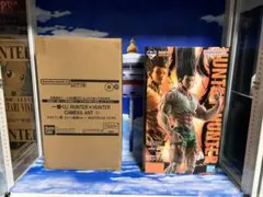 新品未開封　一番くじ　HUNTER×HUNTER ラスワン賞 ゴン~成長ver.