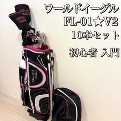 ワールドイーグル FL-01★V2 10本セット レディースゴルフ 初心者 入門のサムネイル