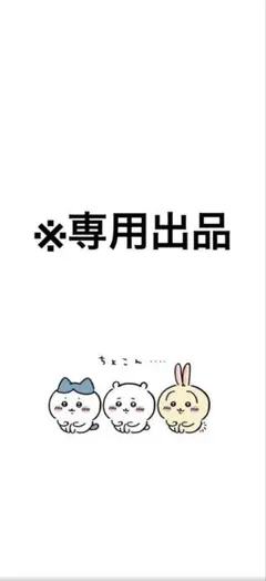 ※専用出品