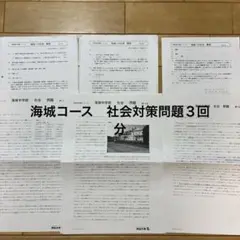 r flower様 リクエスト 4点 まとめ商品