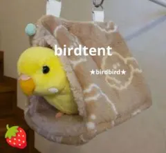 Item thumbnail for item 035f4d38-92d1-4b73-a0f5-68e43049d94d