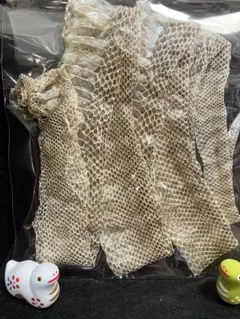 2026年最新】蛇の抜け殻の人気アイテム - メルカリ