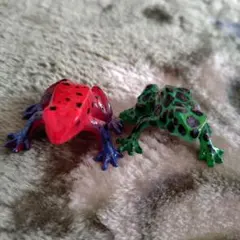 ヤドクガエルの世界Vol.１ガチャガチャ