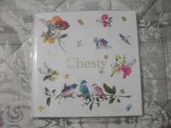 ★Chesty（チェスティ）【豪華レターブック】未開封発送