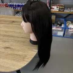 ファッションウィッグ ブラック ロング ネット ヘアピン付