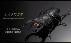 クワガタ カプセルトイ