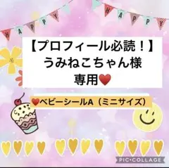 【プロフィール必読！】うみねこちゃん様、専用♥️