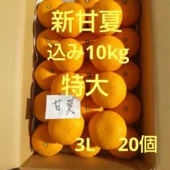 不知火 デコポン 甘くて美味しい 20Kg - メルカリ