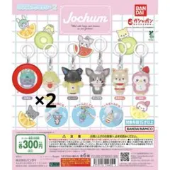 JOCHUM めじるしアクセサリー ちまた2つ