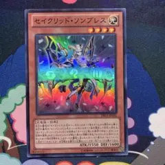 遊戯王 セイクリッド・ソンブレス DS13 1209 ゲートボール