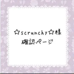 ☆scrunchy☆プロフ必読下さい様確認ページ