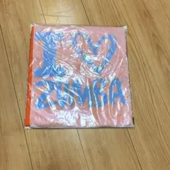 お値下げ❣️ ZUMBA フリーサイズTシャツ