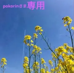 専用です