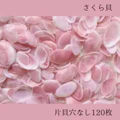 sakiko様 リクエスト 2点 まとめ商品