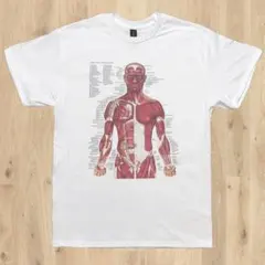 ビンテージLesrie Arwin80s筋肉柄Tシャツ袖裾シングルHanes - メルカリ
