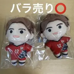 新品未開封 バレーボール 男子日本代表 高橋藍 公式 ぬいぐるみ