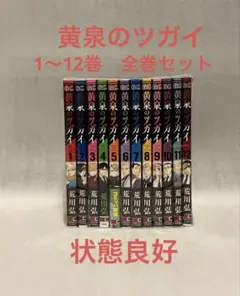 シグルイ（1～15） 全巻セット 山口貴由 - メルカリ