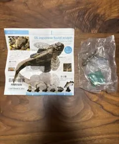 NATURE TECHNI COLOUR 日本の清流 増補特装版 カジカ