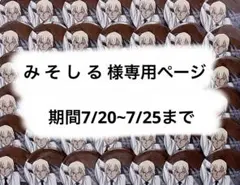 み そ し る 様専用ページ