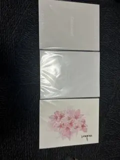 Snow Manパンフレット