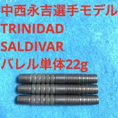 中西永吉TRINIDADトリニダードSALDIVARサルディバル定価11000円