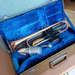 2025年最新】トランペット ジャンクの人気アイテム - メルカリ