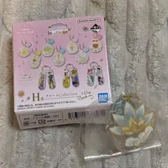 ディズニー　プリンセス　ジャスミン　一番くじ　Drチャーム