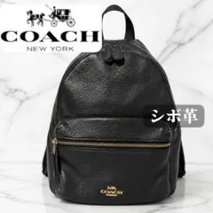 COACH コーチ　リュック　バックパック　本革　シボ革　ゴールド金具　ブラック