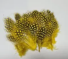 Item thumbnail for item 7765be24-491d-47e0-b240-6645a27f55de