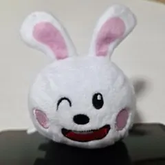 たべっ子どうぶつ うさぎ のせこっとぷらす うさぎ