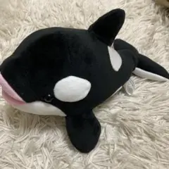 シャチのぬいぐるみ 27cm 須磨シーワールド
