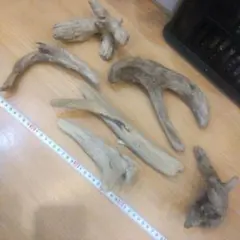 Item thumbnail for item 0342eb44-3b43-4aeb-9a00-48e417ead8c8