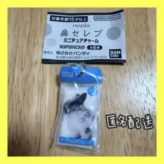 nepia 鼻セレブ　ミニチュアチャーム　鼻セレブティッシュ　ITSUMO