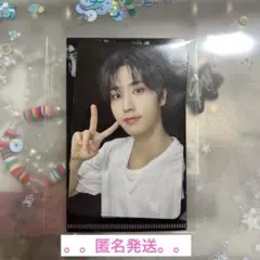 Stray Kids スキズ　ハン　HOP 合　NEMOZ特典　トレカ