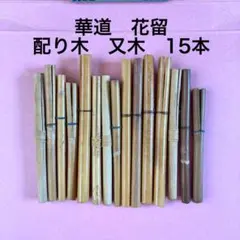 꽃꽂이 꽃 마타키 분포 나무 15그루