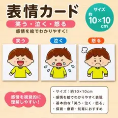 表情カード 笑う・泣く・怒る 保育教材
