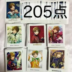 ［205点］　高峯翠 ぱしゃっつ