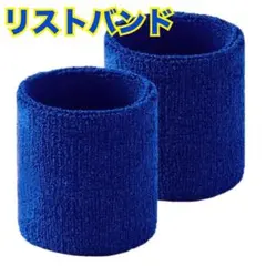 リストバンド 手首バンド スポーツバンド 吸汗性 通気性 伸縮 速乾 2個セット