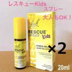 Item thumbnail for item 55336ded-f5a3-4a82-b23e-2684f710f438