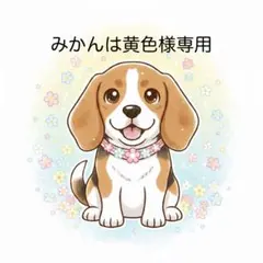 みかんは黄色様専用　ご相談ページ